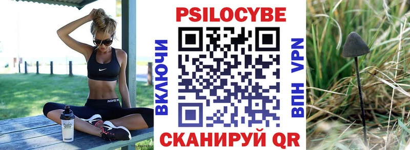 как найти закладки  Бикин  Псилоцибиновые грибы Cubensis 